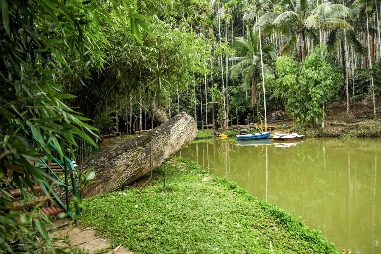 Bamboo Creek Resort Vaduvanchal Kültér fotó