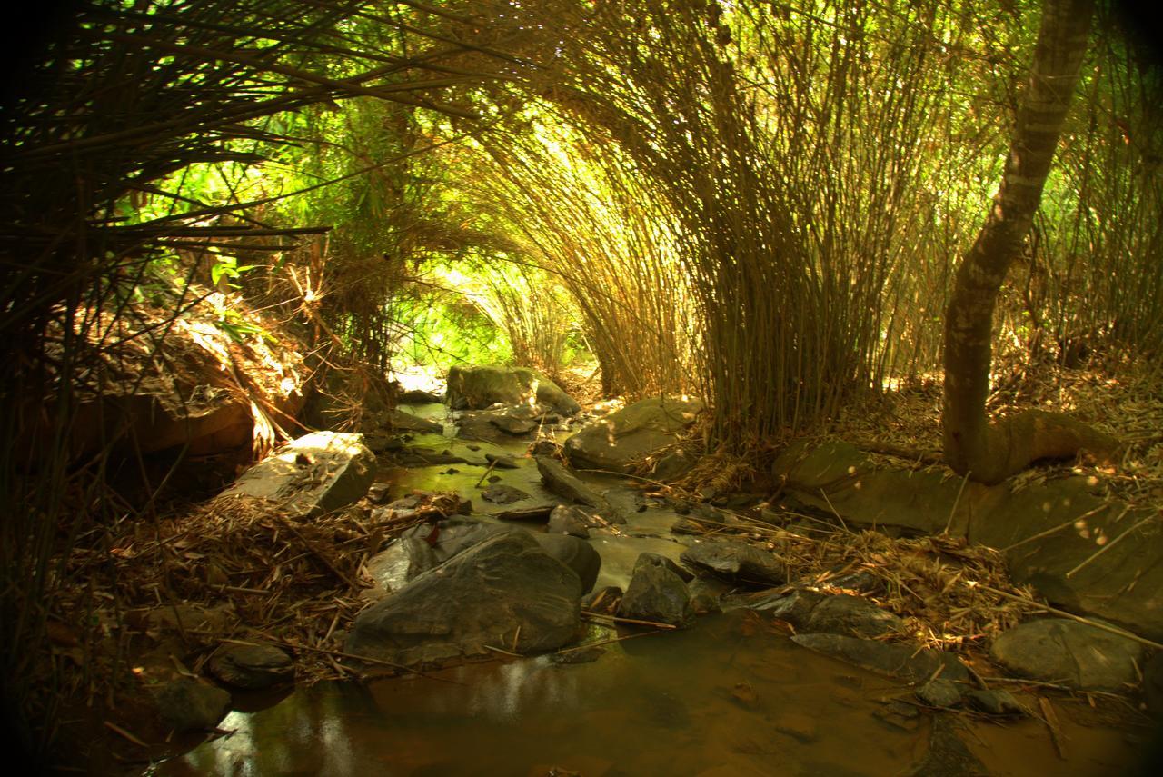 Bamboo Creek Resort Vaduvanchal Kültér fotó